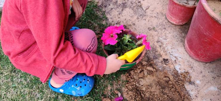 adding plant to flower pot