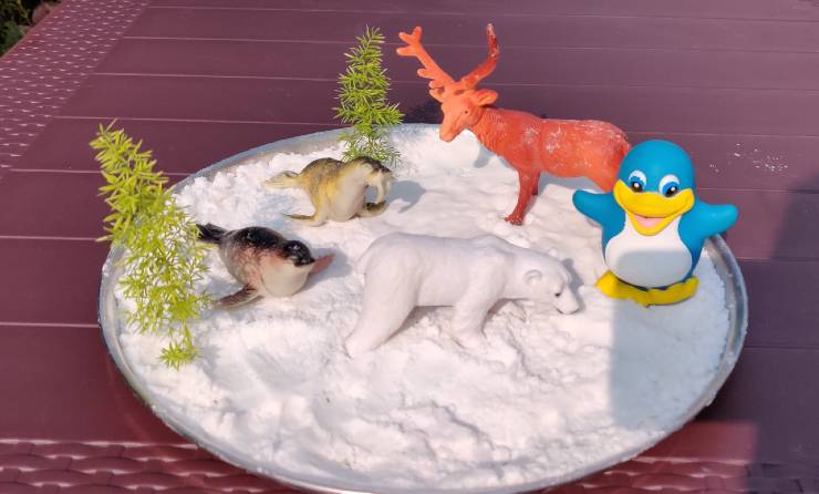 Artic animals with Fake Snow