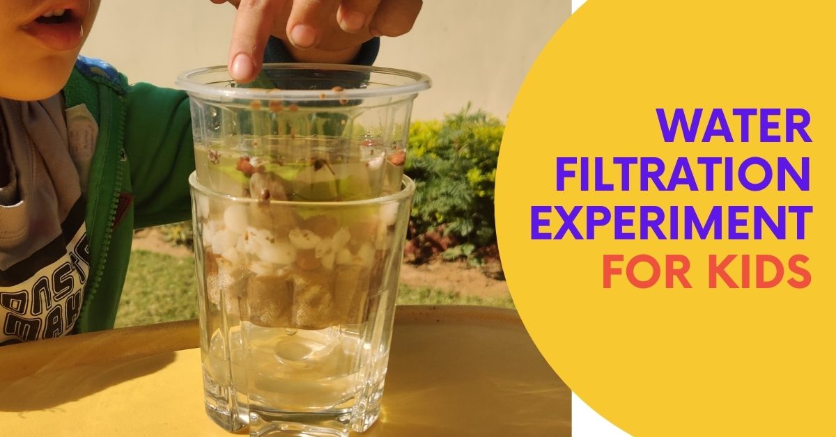 water filtration experiment for kids