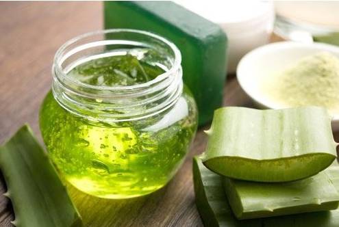 Aloe Vera gel for ulcers