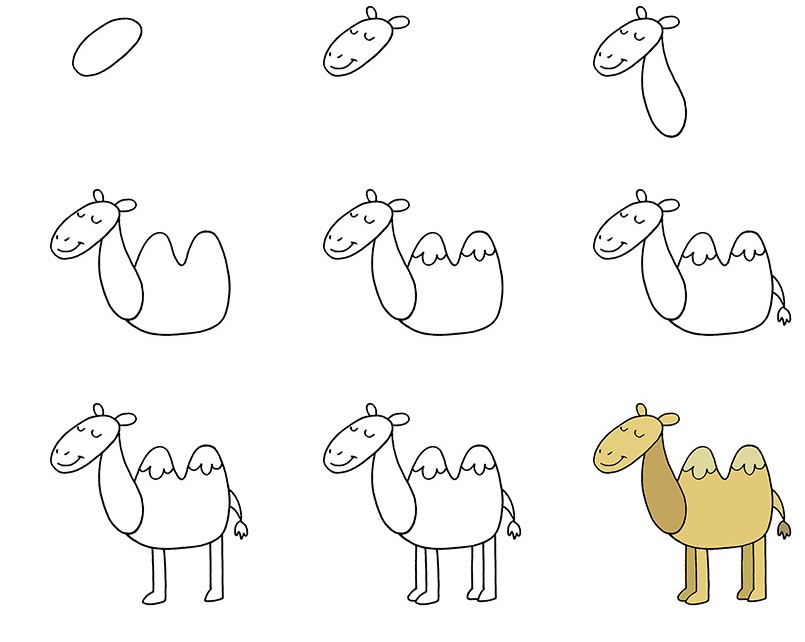 Easy Camel Drawing for Kids Step by Step